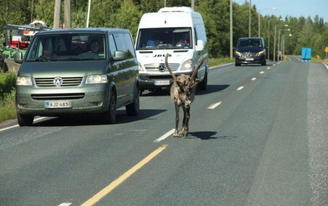 Norvegia. Finlandia, Svezia