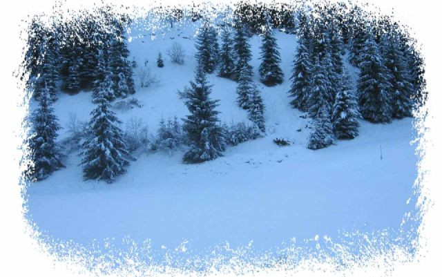Natale in Alsazia 2016