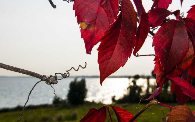 A spasso per il lago di Garda
