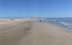 Camargue e dintorni