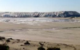 Camargue e dintorni