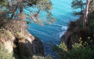Liguria e il  Golfo del Tigullio - febbraio 2018