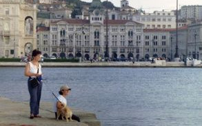 Friuli 2002