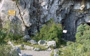 Friuli 2002