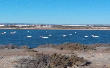 Viaggio invernale in Spagna e Portogallo - 2017/18