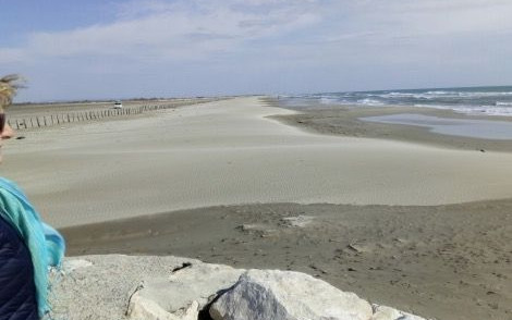 Andalusia e Camargue - Marzo 2018