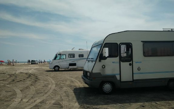 Gita in Camargue 