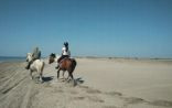 Gita in Camargue 
