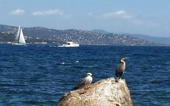Estate 2017: dall'Atlantico al Mediterraneo