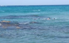 Salento - agosto 2017