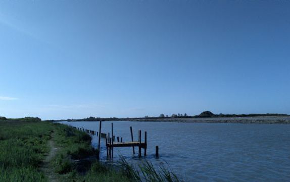 Vagando nel Delta del Po