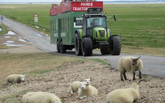 Germania e Danimarca 2018