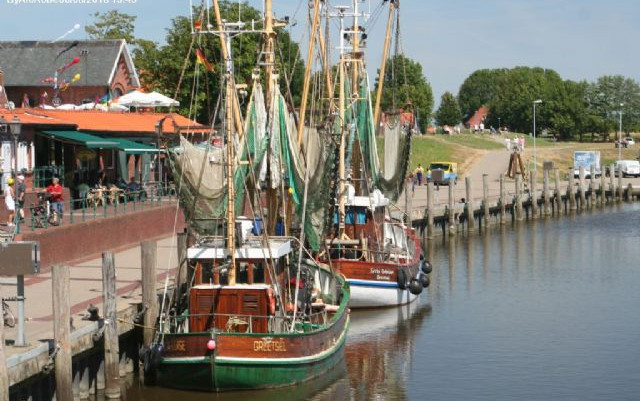 Wattenmeer: Mare dei Wadden