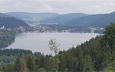 Lago di Costanza, Foresta Nera, Normandia