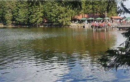 Lago di Costanza, Foresta Nera, Normandia