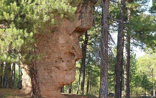 In giro per la Spagna sul camion dei pompieri