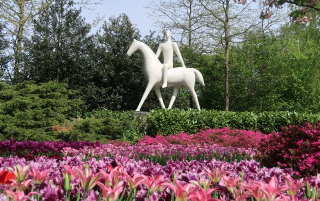 Olanda 2019: mulini e tulipani