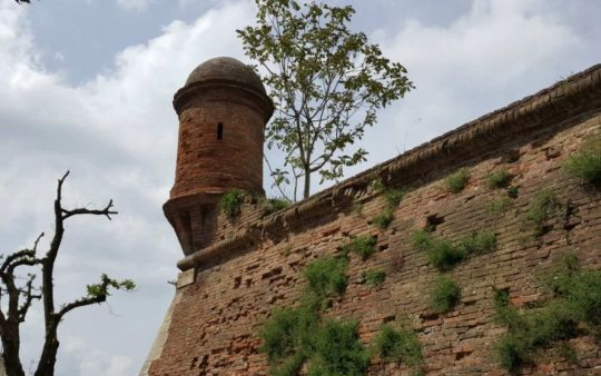 Cicloturismo tra Romagna, Veneto e Lombardia 