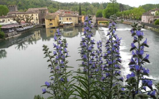 Cicloturismo tra Romagna, Veneto e Lombardia 
