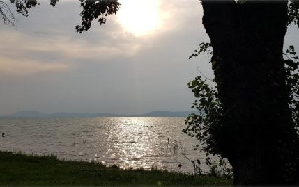 Calimero a Budapest