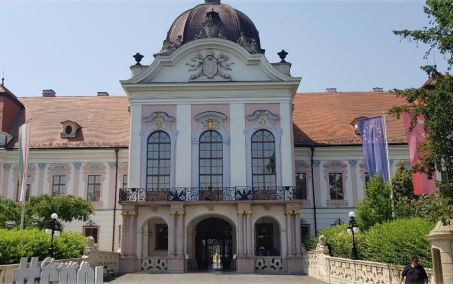 Calimero a Budapest