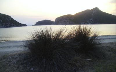 Grecia Nord-Orientale
