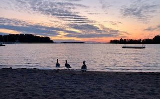 Finlandia e Repubbliche Baltiche Estate 2019