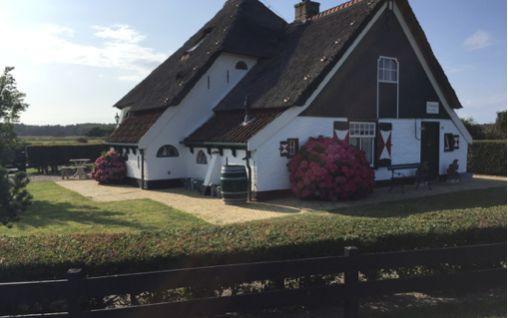 Tour in Germania, Belgio, Olanda