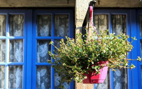 Francia Perigord 2019