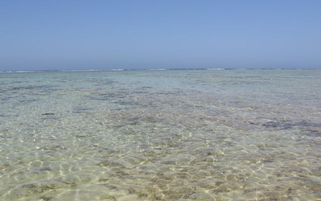 Isola d'Elba in tour