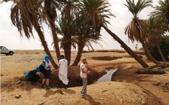 Il mio Marocco - marzo 2019