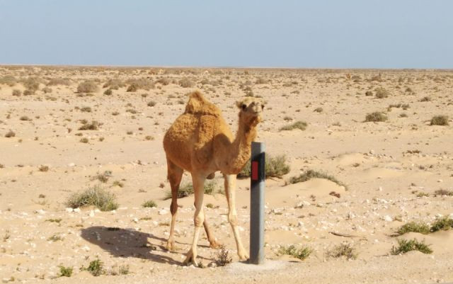 Il mio Marocco - marzo 2019