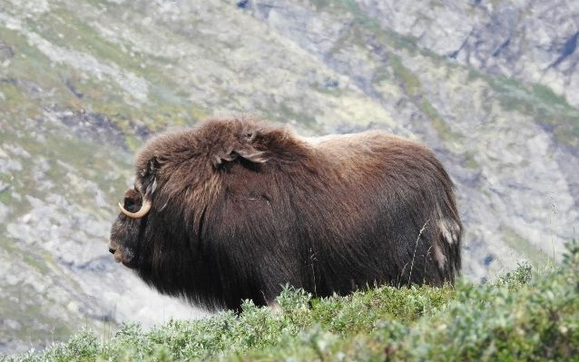 Natura nel Grande Nord in camper - Parte I