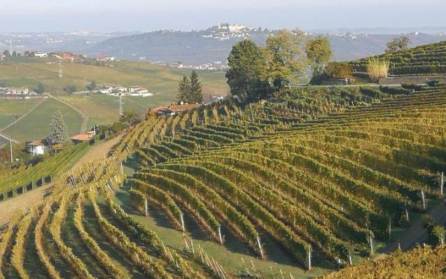 Langhe e dintorni