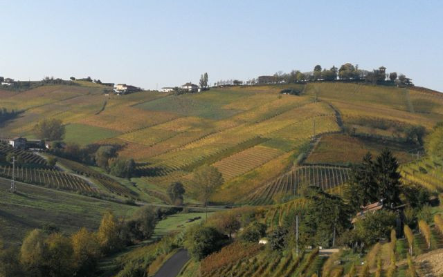 Langhe e dintorni