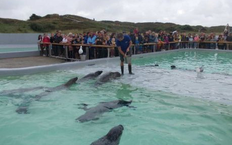 Isola di Texel con tappe in Germania