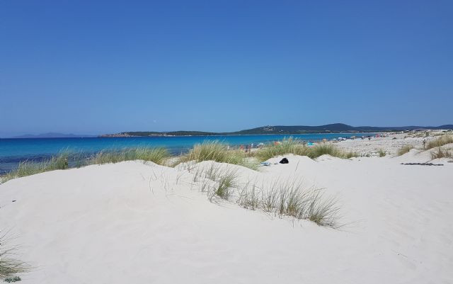 Sardegna selvaggia Sardegna