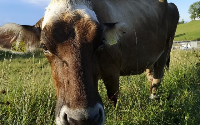 Trentino e Baviera - Agosto 2019