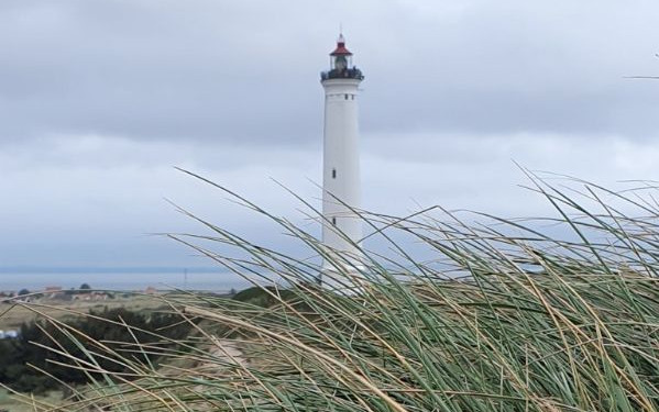 Danimarca 2019