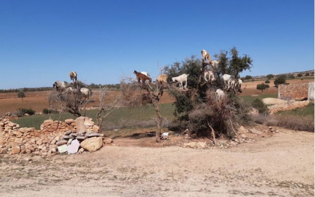 Viaggio in Marocco
