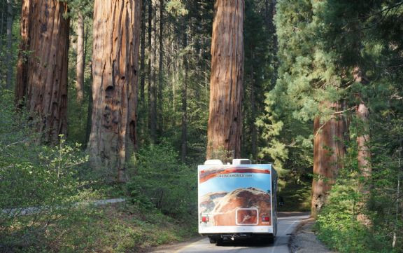 Viaggio in U.S.A. e Parchi Nazionali del Sud-Ovest