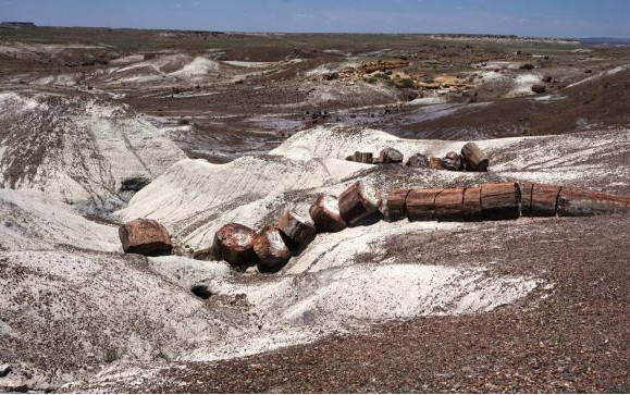 Viaggio in U.S.A. e Parchi Nazionali del Sud-Ovest