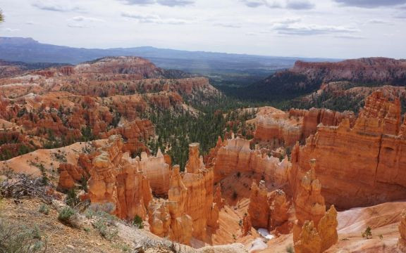 Viaggio in U.S.A. e Parchi Nazionali del Sud-Ovest