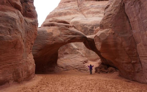 Viaggio in U.S.A. e Parchi Nazionali del Sud-Ovest