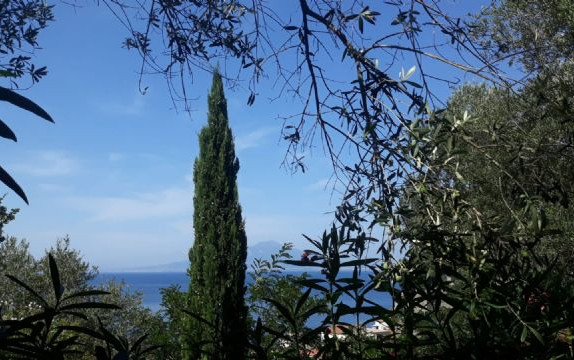 Un assaggio di Sud