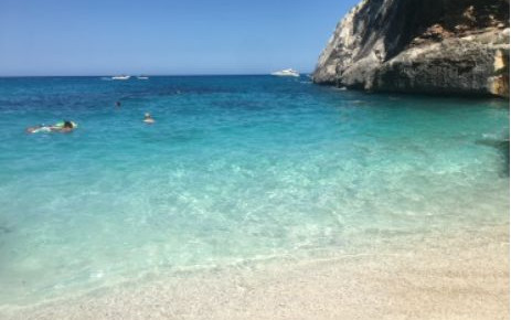 Sardegna 2019 - Profumo dei mirti in fiore!
