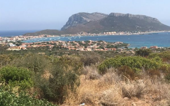 Sardegna 2020 - Montagna che regala il mare