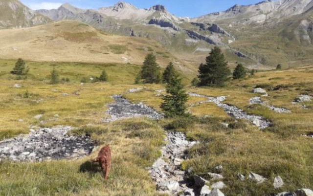 Bretagna, cercando fresco e poca folla