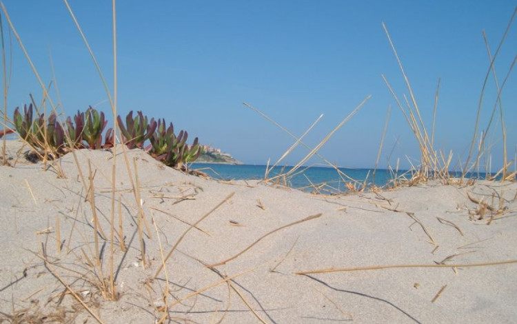 Corsica nord ed ovest fino a Calvì