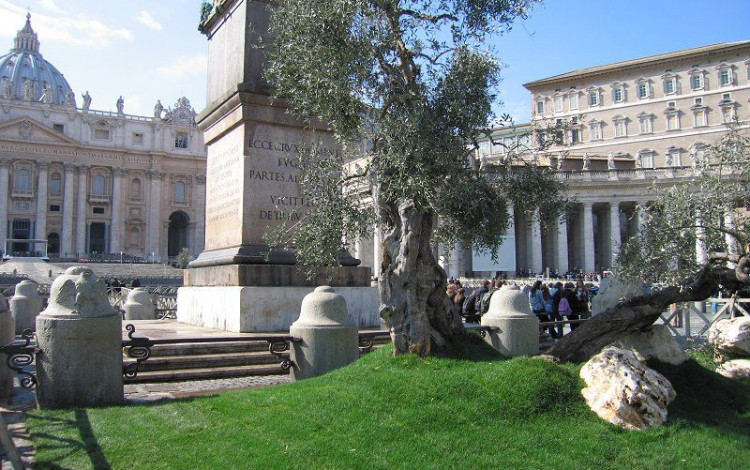 Roma